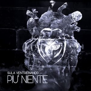 sula ventrebianco