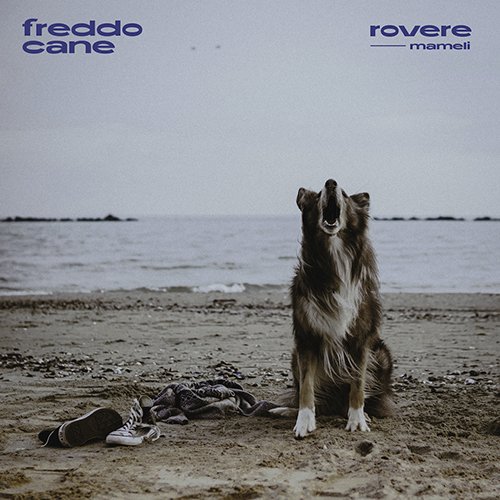 rovere feat. mameli: "freddo cane" è il nuovo singolo